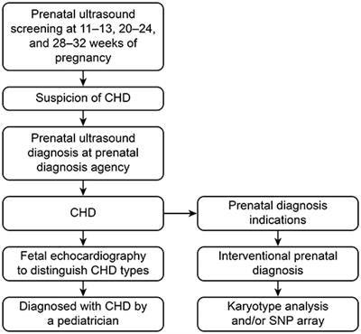 Epidemiological Aspects, Prenatal Screening and Diagnosis of Congenital Heart Defects in Beijing